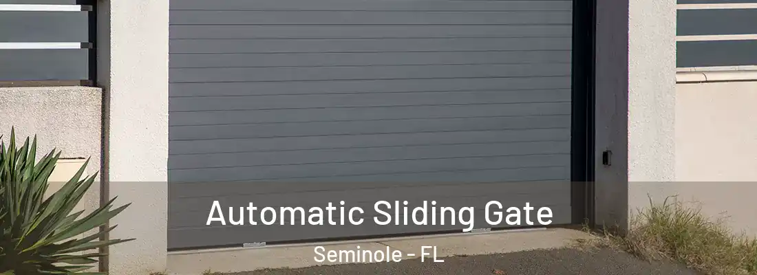  Automatic Sliding Gate Seminole - FL
