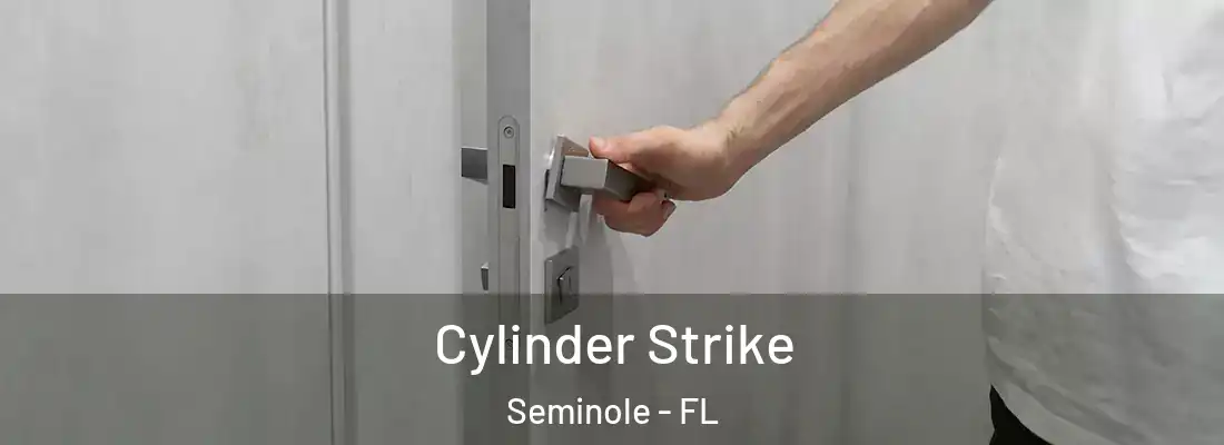  Cylinder Strike Seminole - FL