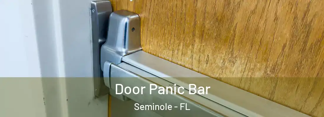  Door Panic Bar Seminole - FL
