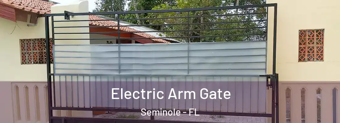  Electric Arm Gate Seminole - FL