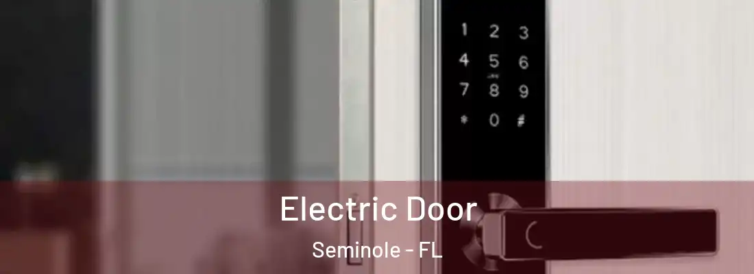 Electric Door Seminole - FL