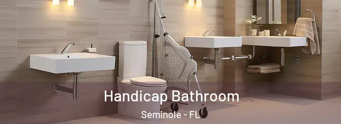  Handicap Bathroom Seminole - FL
