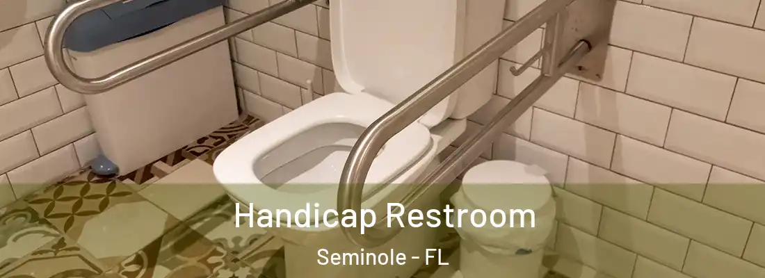  Handicap Restroom Seminole - FL