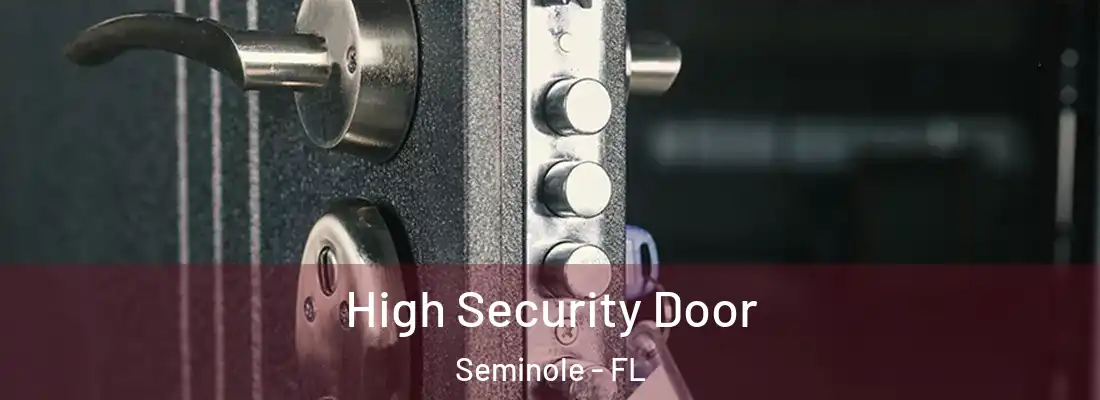  High Security Door Seminole - FL