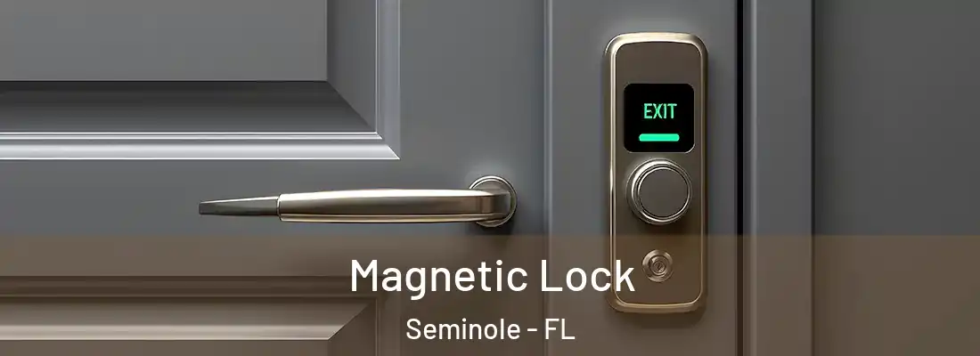  Magnetic Lock Seminole - FL