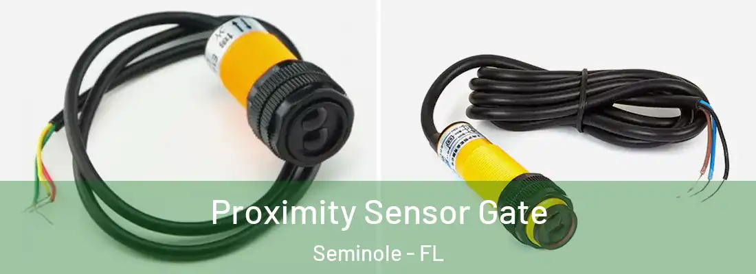  Proximity Sensor Gate Seminole - FL